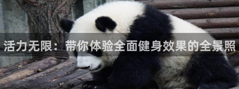 意昂2官方网站