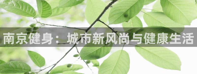 意昂2代理