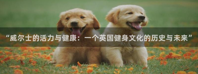 意昂2平台